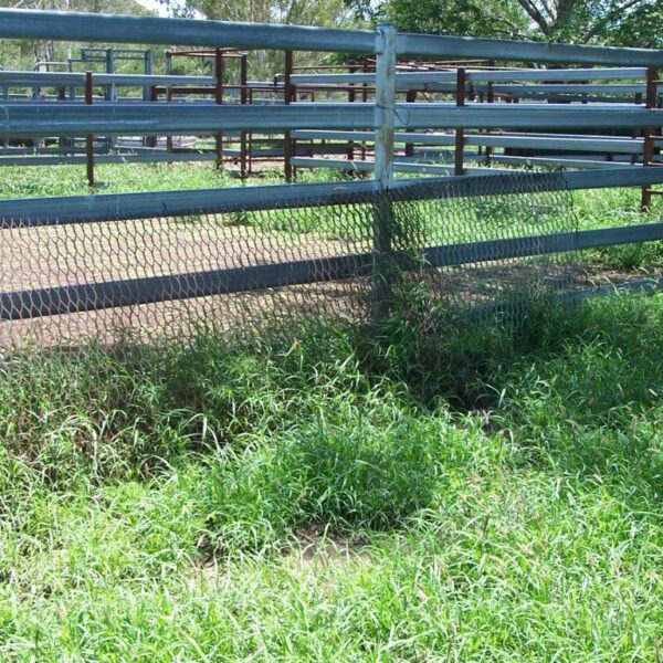 Stable fence